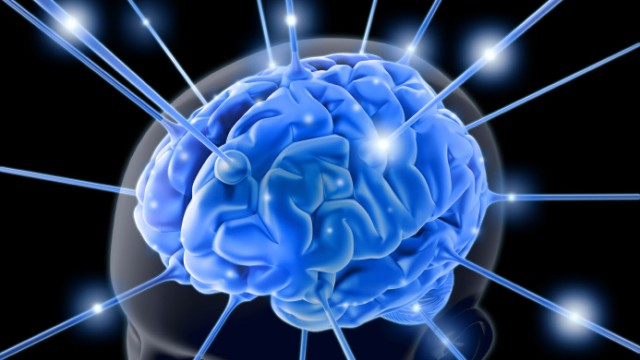 Blue Brain Electrical