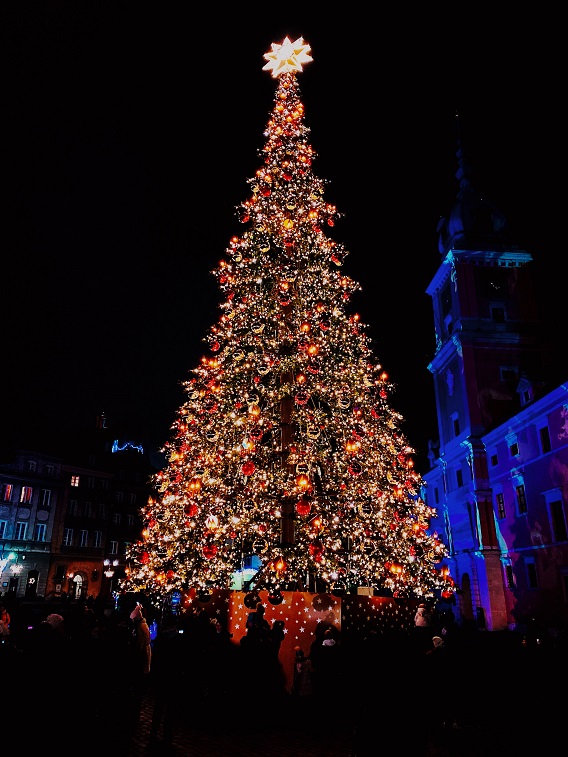 Christmas Tree Lit Up